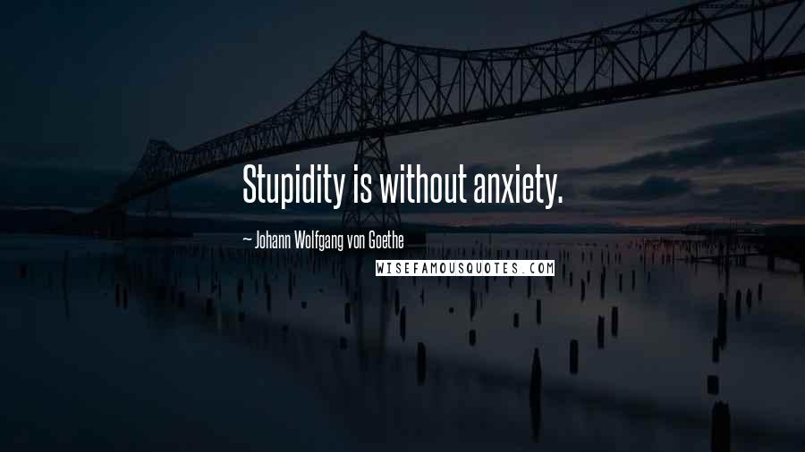 Johann Wolfgang Von Goethe Quotes: Stupidity is without anxiety.