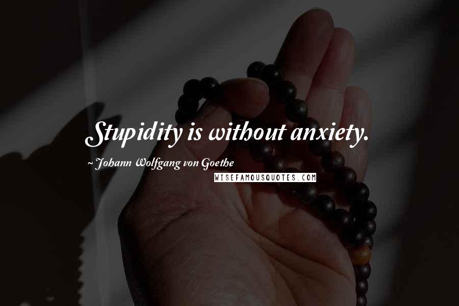 Johann Wolfgang Von Goethe Quotes: Stupidity is without anxiety.