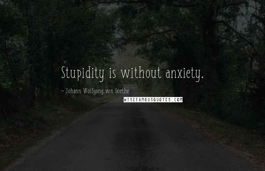 Johann Wolfgang Von Goethe Quotes: Stupidity is without anxiety.