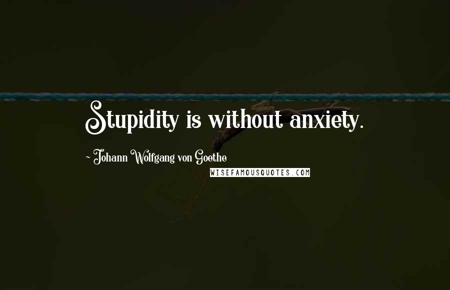 Johann Wolfgang Von Goethe Quotes: Stupidity is without anxiety.