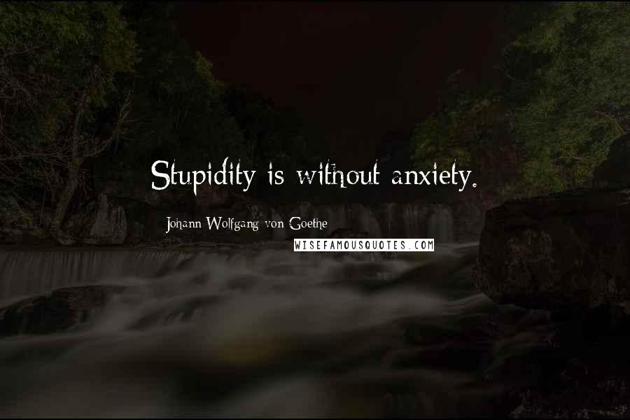 Johann Wolfgang Von Goethe Quotes: Stupidity is without anxiety.