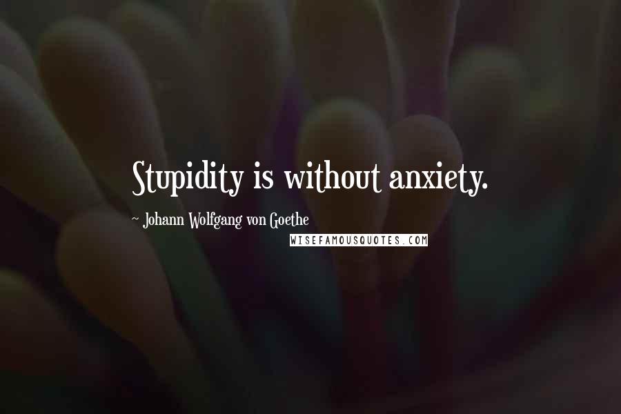 Johann Wolfgang Von Goethe Quotes: Stupidity is without anxiety.