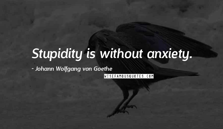 Johann Wolfgang Von Goethe Quotes: Stupidity is without anxiety.
