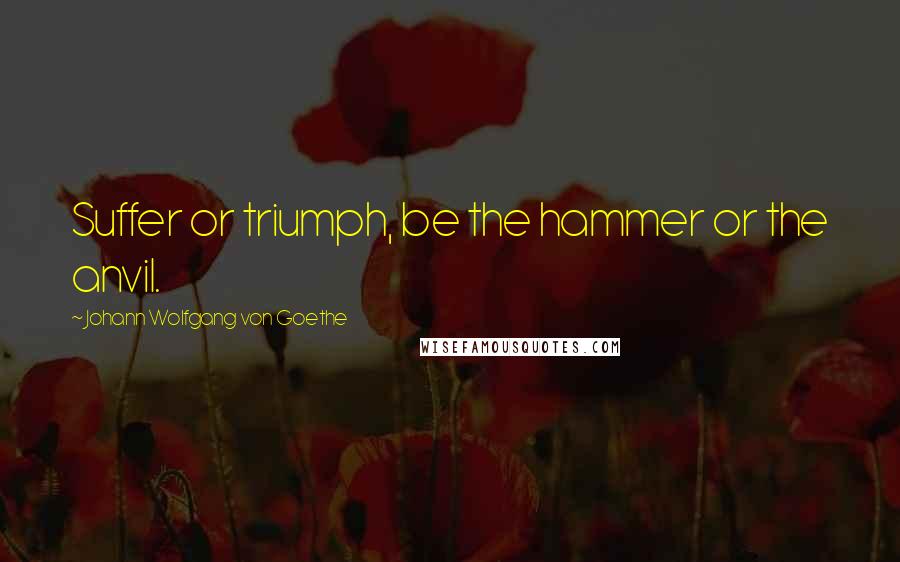 Johann Wolfgang Von Goethe Quotes: Suffer or triumph, be the hammer or the anvil.