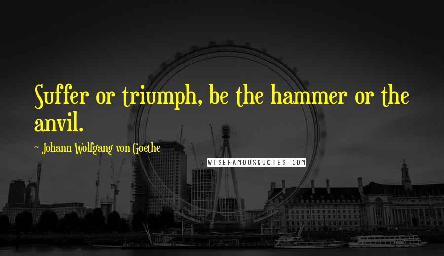 Johann Wolfgang Von Goethe Quotes: Suffer or triumph, be the hammer or the anvil.