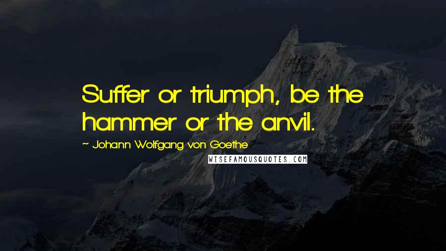 Johann Wolfgang Von Goethe Quotes: Suffer or triumph, be the hammer or the anvil.