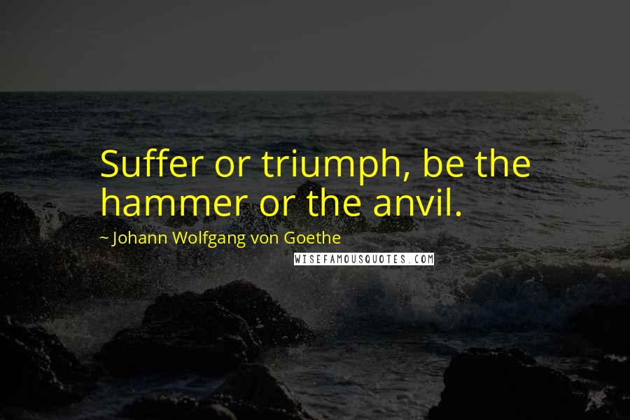 Johann Wolfgang Von Goethe Quotes: Suffer or triumph, be the hammer or the anvil.