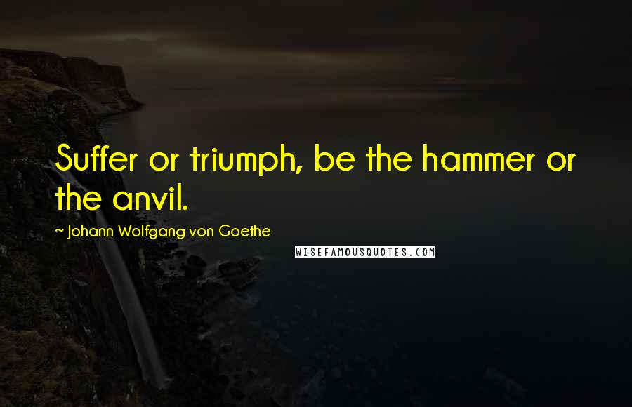 Johann Wolfgang Von Goethe Quotes: Suffer or triumph, be the hammer or the anvil.