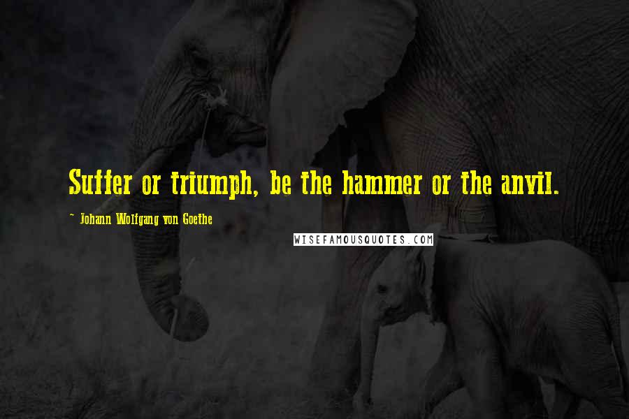 Johann Wolfgang Von Goethe Quotes: Suffer or triumph, be the hammer or the anvil.