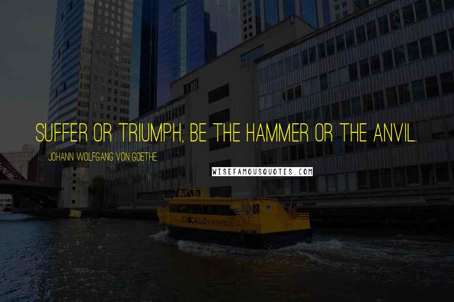 Johann Wolfgang Von Goethe Quotes: Suffer or triumph, be the hammer or the anvil.