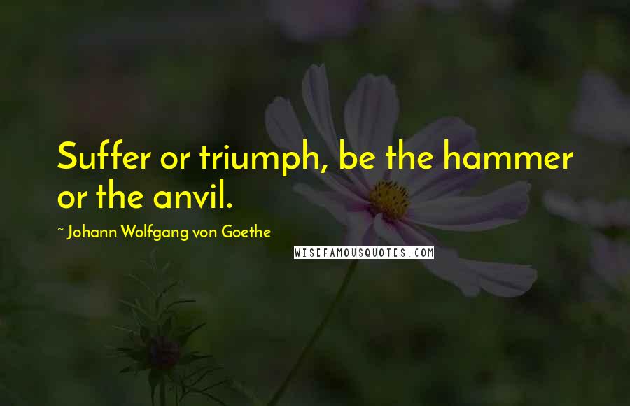 Johann Wolfgang Von Goethe Quotes: Suffer or triumph, be the hammer or the anvil.