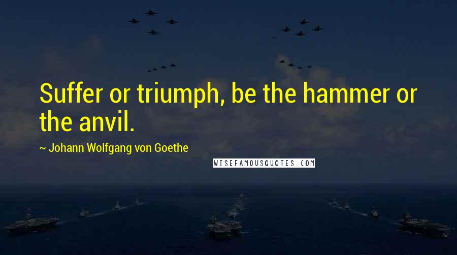 Johann Wolfgang Von Goethe Quotes: Suffer or triumph, be the hammer or the anvil.