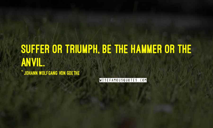 Johann Wolfgang Von Goethe Quotes: Suffer or triumph, be the hammer or the anvil.