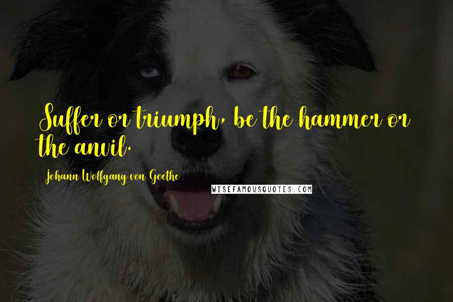 Johann Wolfgang Von Goethe Quotes: Suffer or triumph, be the hammer or the anvil.