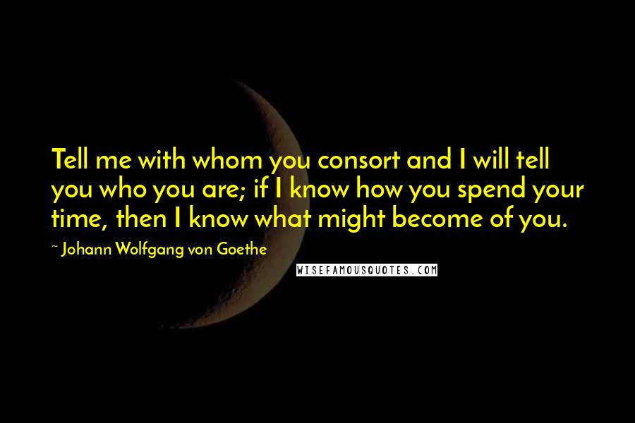 Johann Wolfgang Von Goethe Quotes: Tell me with whom you consort and I will tell you who you are; if I know how you spend your time, then I know what might become of you.