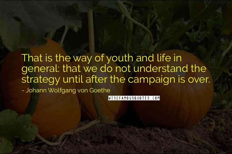 Johann Wolfgang Von Goethe Quotes: That is the way of youth and life in general: that we do not understand the strategy until after the campaign is over.