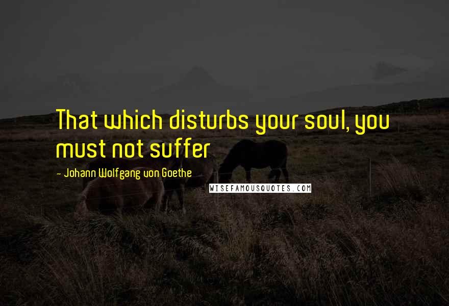 Johann Wolfgang Von Goethe Quotes: That which disturbs your soul, you must not suffer