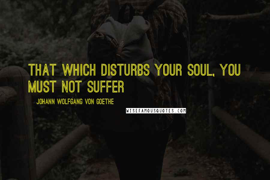 Johann Wolfgang Von Goethe Quotes: That which disturbs your soul, you must not suffer