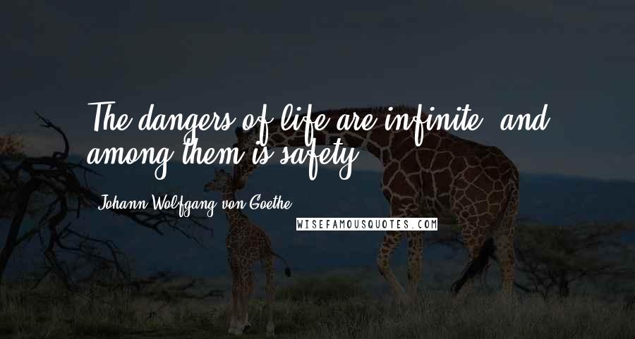 Johann Wolfgang Von Goethe Quotes: The dangers of life are infinite, and among them is safety.