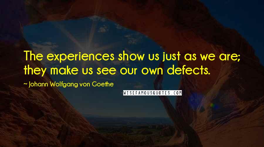 Johann Wolfgang Von Goethe Quotes: The experiences show us just as we are; they make us see our own defects.