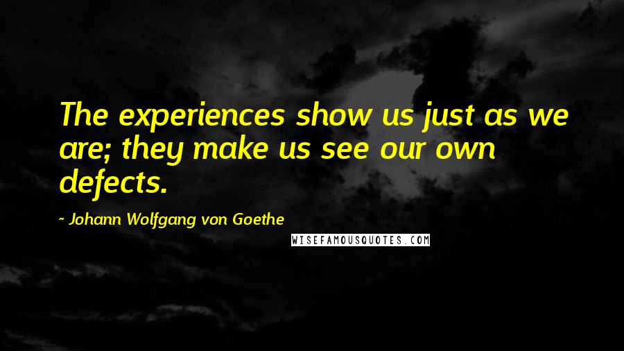 Johann Wolfgang Von Goethe Quotes: The experiences show us just as we are; they make us see our own defects.