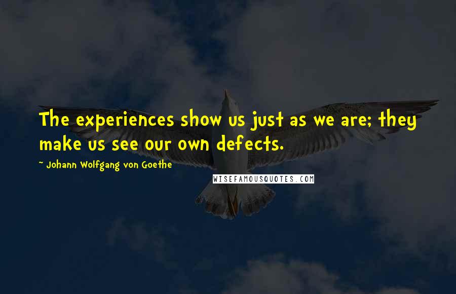 Johann Wolfgang Von Goethe Quotes: The experiences show us just as we are; they make us see our own defects.