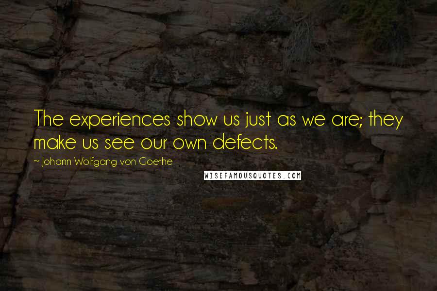 Johann Wolfgang Von Goethe Quotes: The experiences show us just as we are; they make us see our own defects.