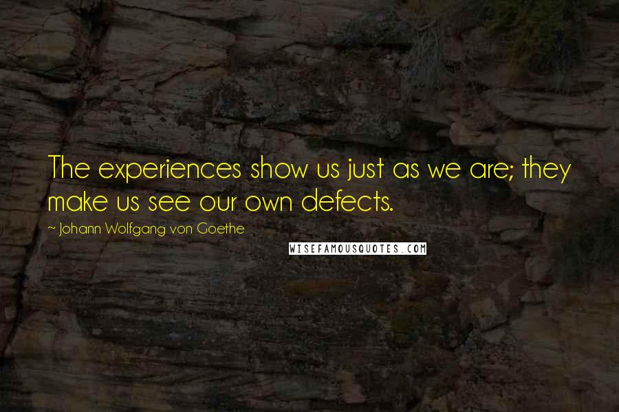 Johann Wolfgang Von Goethe Quotes: The experiences show us just as we are; they make us see our own defects.