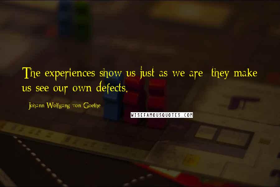 Johann Wolfgang Von Goethe Quotes: The experiences show us just as we are; they make us see our own defects.