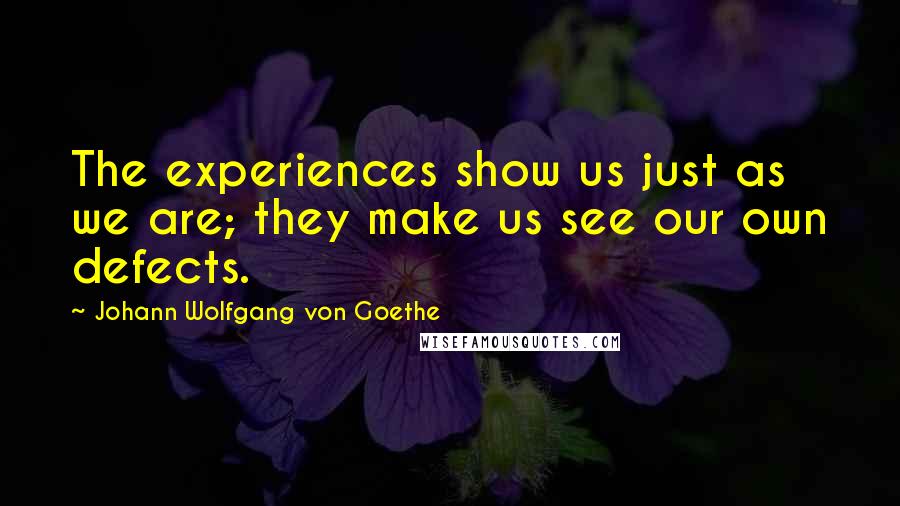 Johann Wolfgang Von Goethe Quotes: The experiences show us just as we are; they make us see our own defects.