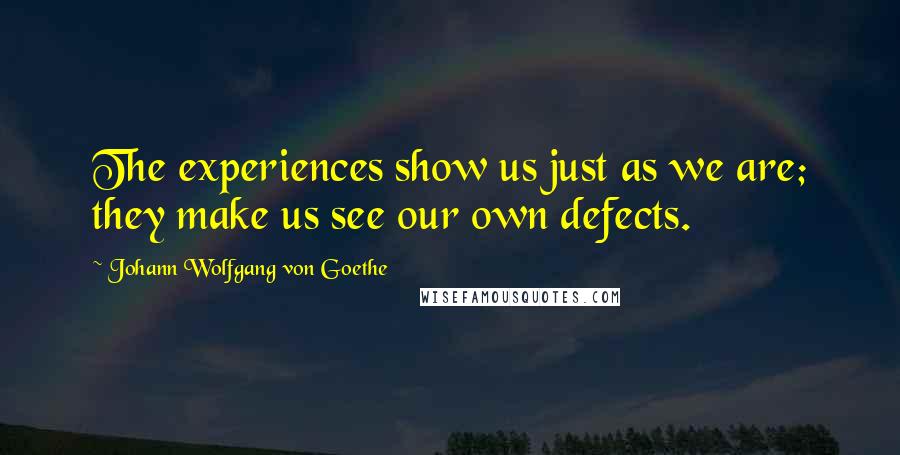 Johann Wolfgang Von Goethe Quotes: The experiences show us just as we are; they make us see our own defects.