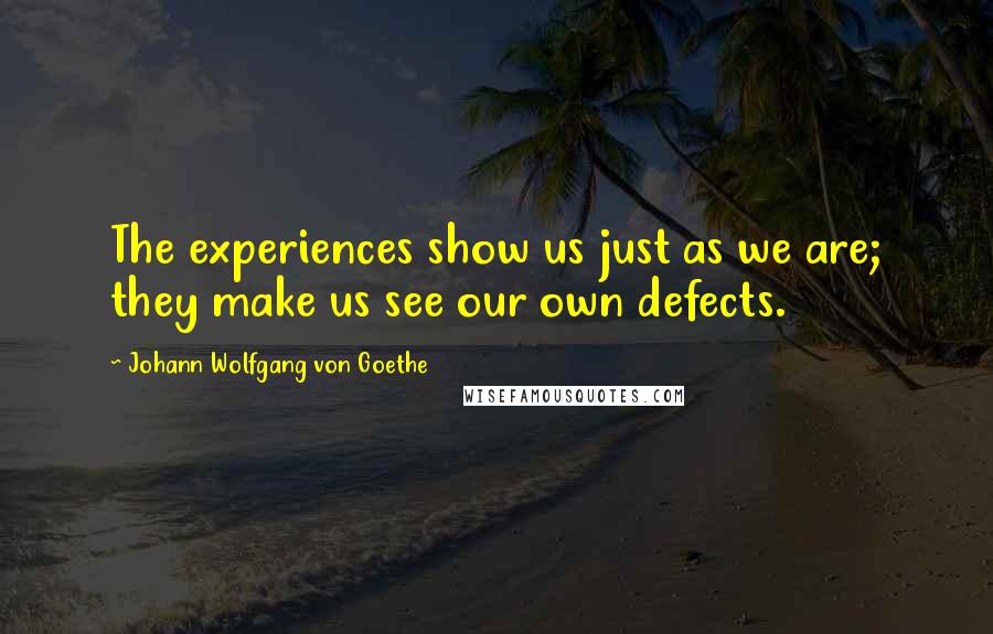 Johann Wolfgang Von Goethe Quotes: The experiences show us just as we are; they make us see our own defects.