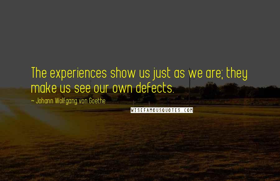 Johann Wolfgang Von Goethe Quotes: The experiences show us just as we are; they make us see our own defects.