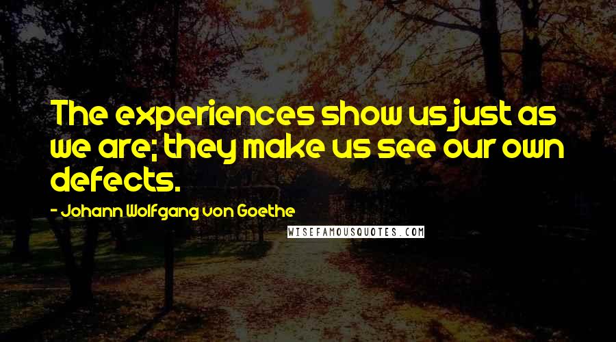 Johann Wolfgang Von Goethe Quotes: The experiences show us just as we are; they make us see our own defects.
