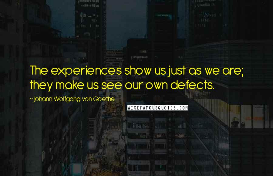 Johann Wolfgang Von Goethe Quotes: The experiences show us just as we are; they make us see our own defects.