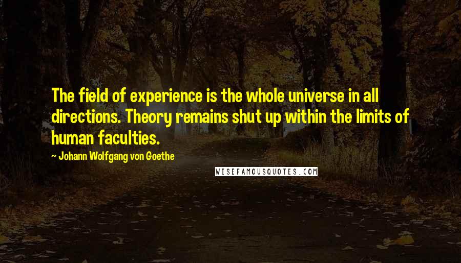 Johann Wolfgang Von Goethe Quotes: The field of experience is the whole universe in all directions. Theory remains shut up within the limits of human faculties.