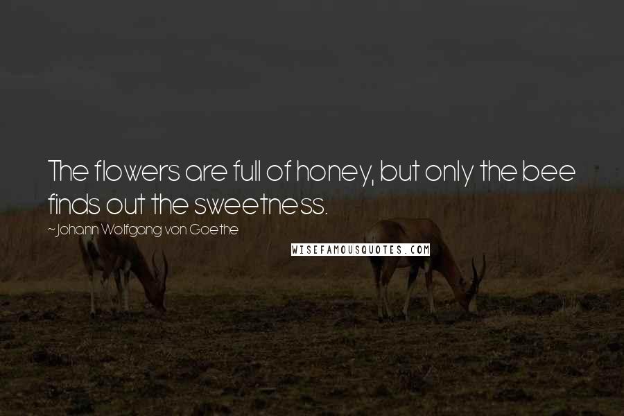 Johann Wolfgang Von Goethe Quotes: The flowers are full of honey, but only the bee finds out the sweetness.