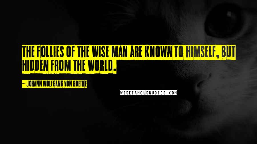 Johann Wolfgang Von Goethe Quotes: The follies of the wise man are known to himself, but hidden from the world.