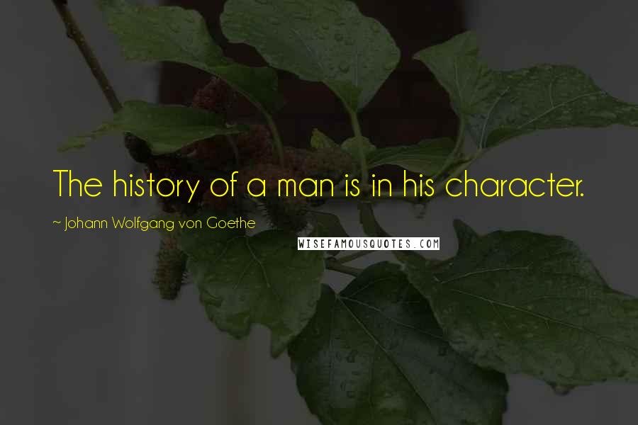 Johann Wolfgang Von Goethe Quotes: The history of a man is in his character.