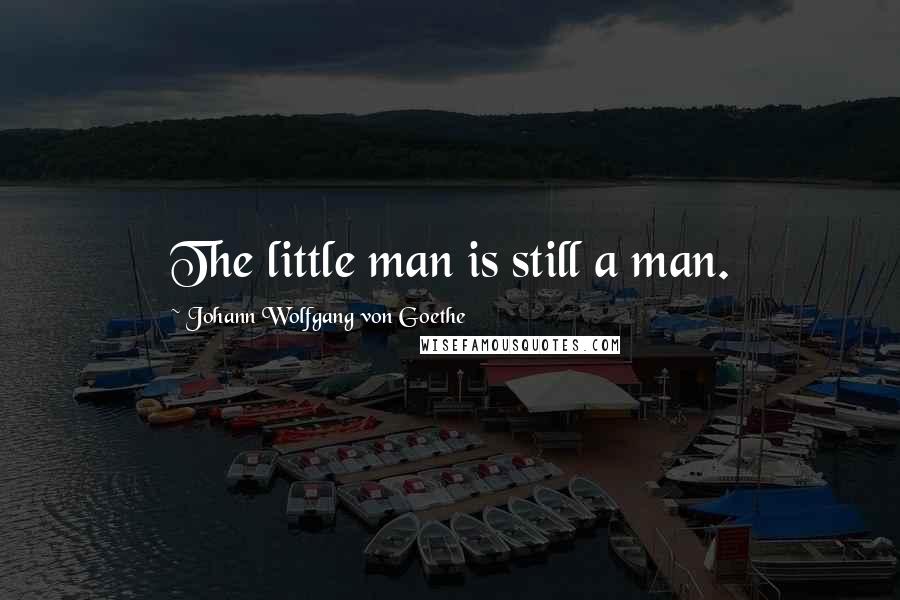 Johann Wolfgang Von Goethe Quotes: The little man is still a man.