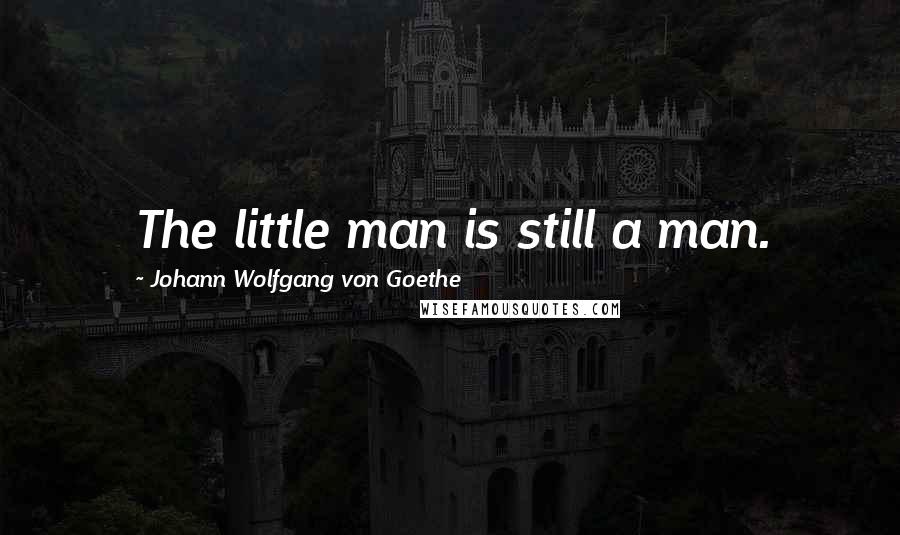 Johann Wolfgang Von Goethe Quotes: The little man is still a man.