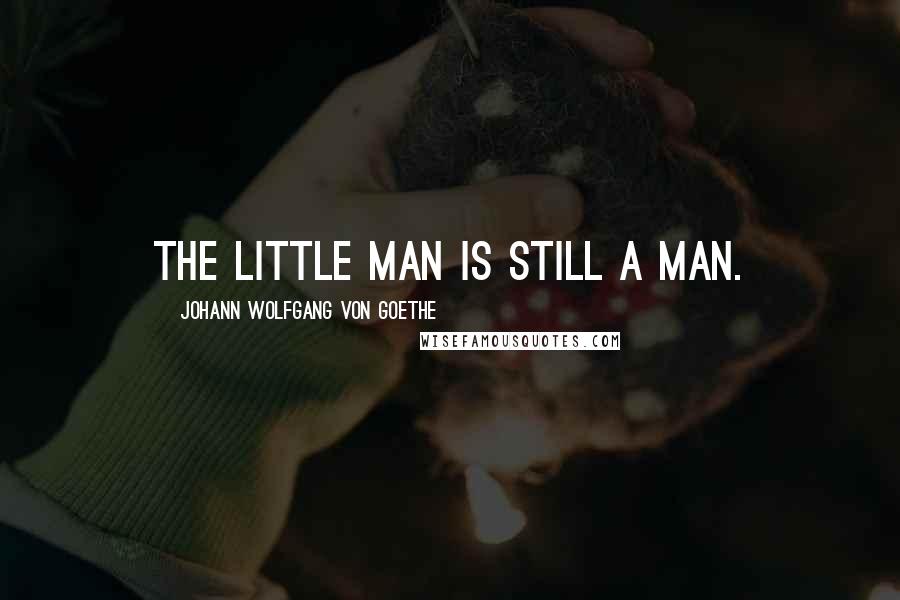 Johann Wolfgang Von Goethe Quotes: The little man is still a man.