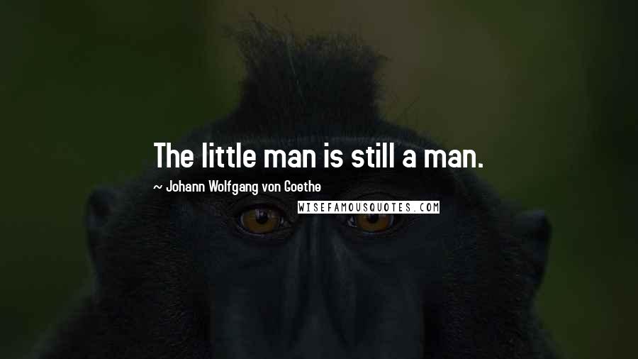 Johann Wolfgang Von Goethe Quotes: The little man is still a man.