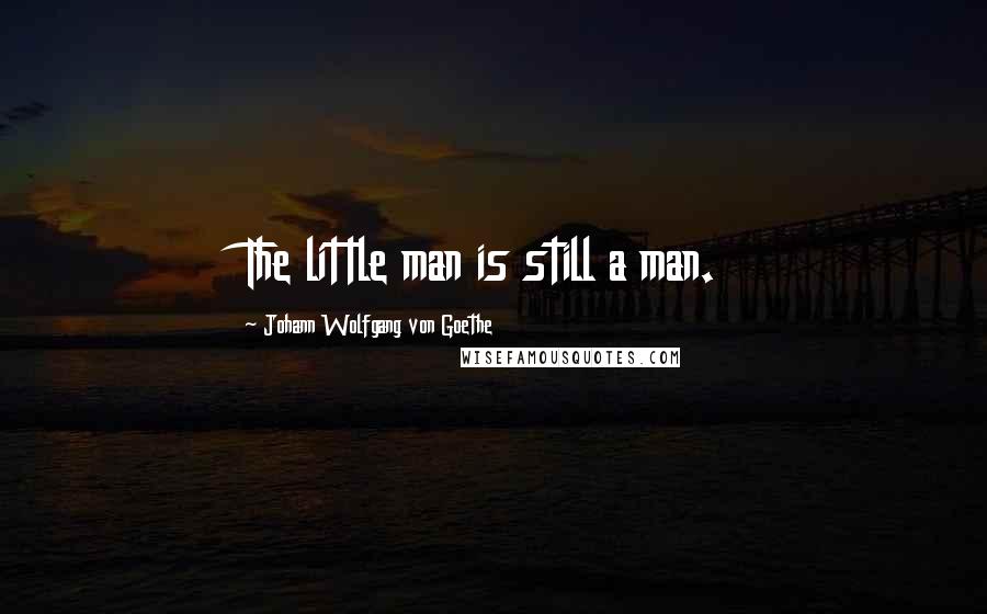 Johann Wolfgang Von Goethe Quotes: The little man is still a man.