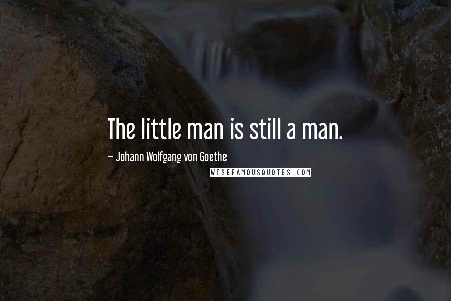 Johann Wolfgang Von Goethe Quotes: The little man is still a man.