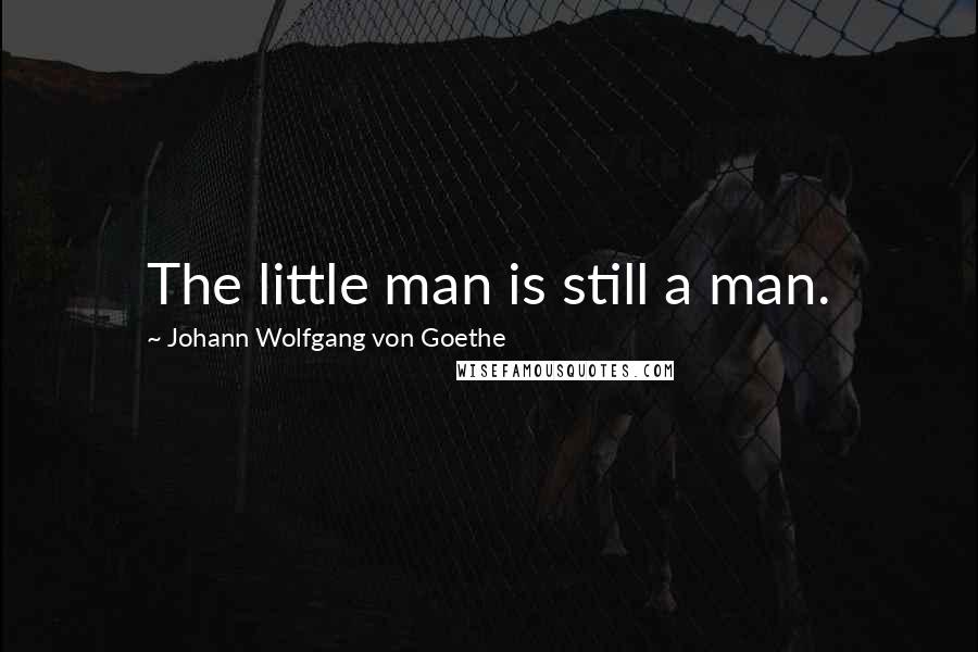 Johann Wolfgang Von Goethe Quotes: The little man is still a man.