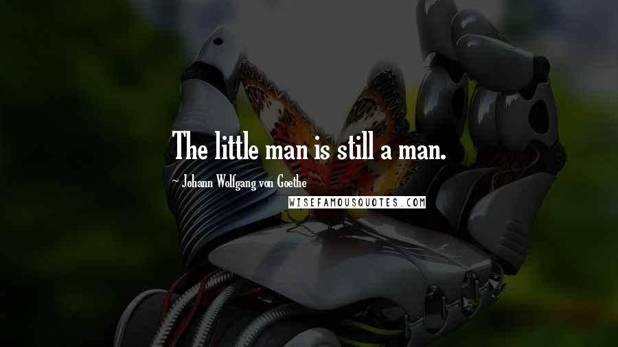 Johann Wolfgang Von Goethe Quotes: The little man is still a man.