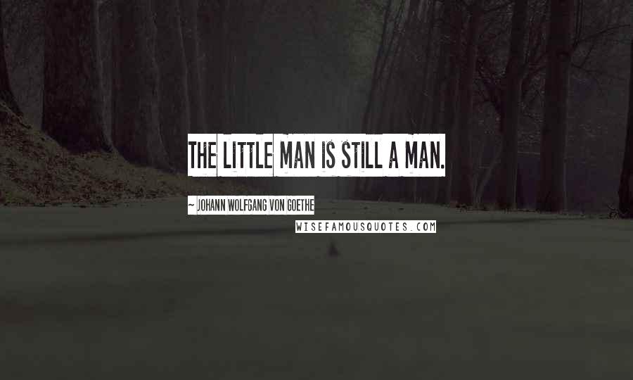 Johann Wolfgang Von Goethe Quotes: The little man is still a man.