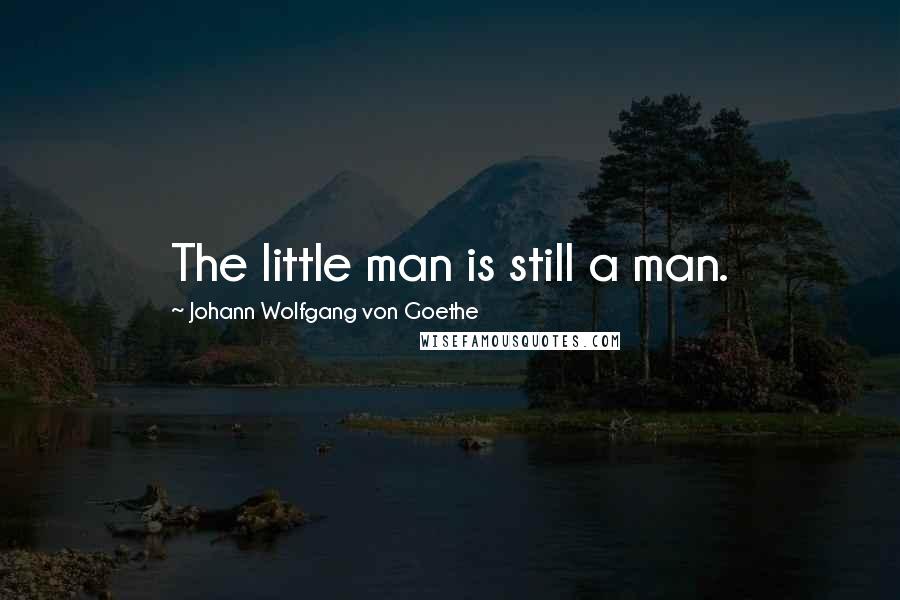 Johann Wolfgang Von Goethe Quotes: The little man is still a man.