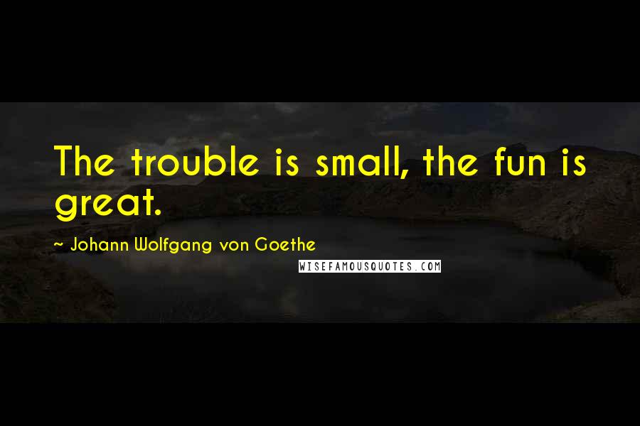 Johann Wolfgang Von Goethe Quotes: The trouble is small, the fun is great.